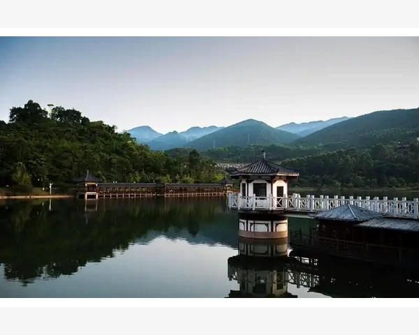 养脾胃肝 阴虚患者怎样调理？