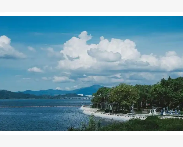 肺气不足，气血不足该如何调养？